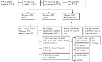 联合利华全球采购系统的组织架构与联合采购策略